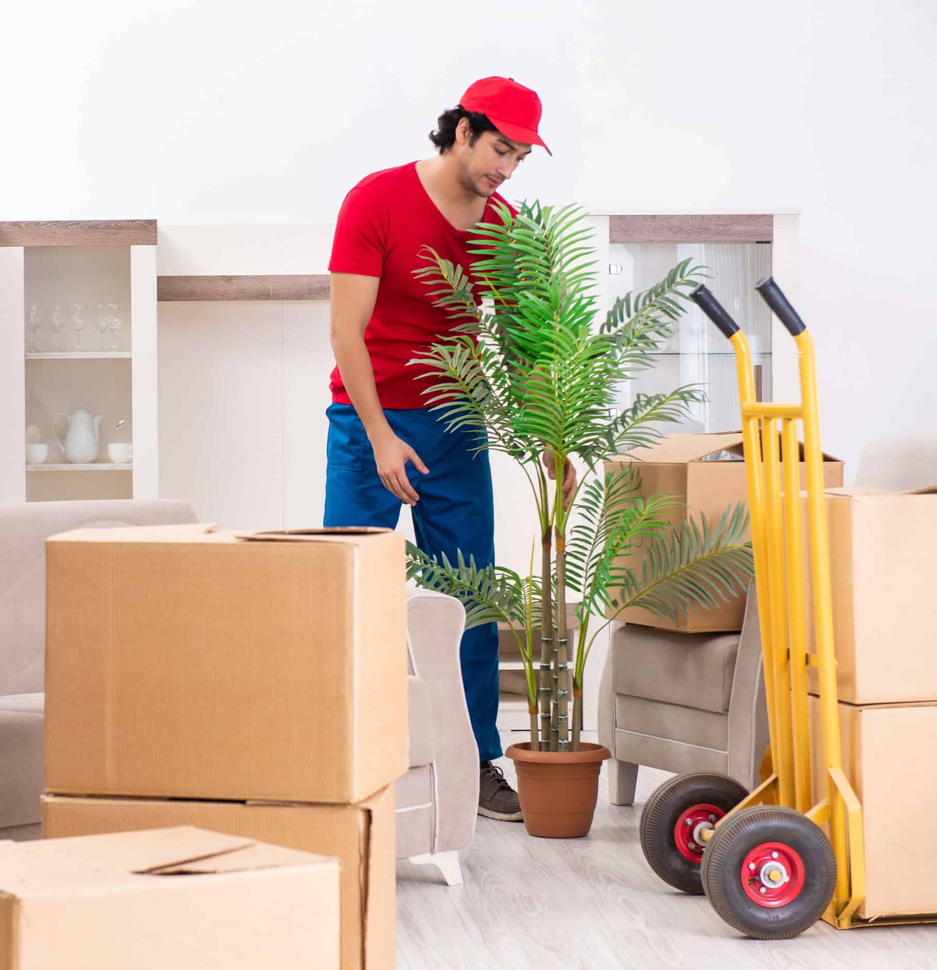 Specialty Moving Items