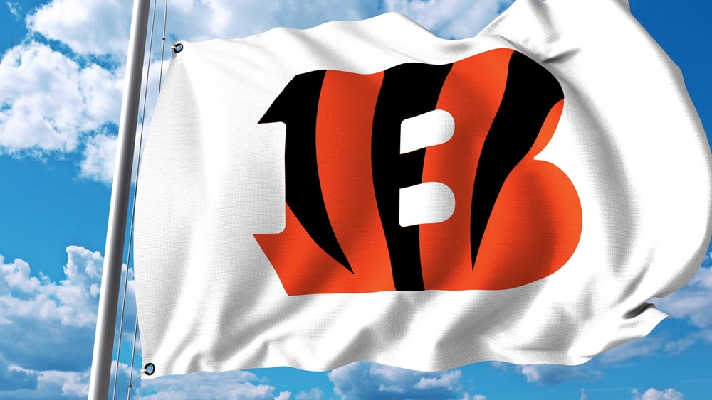 cincinnati sport city the bengals